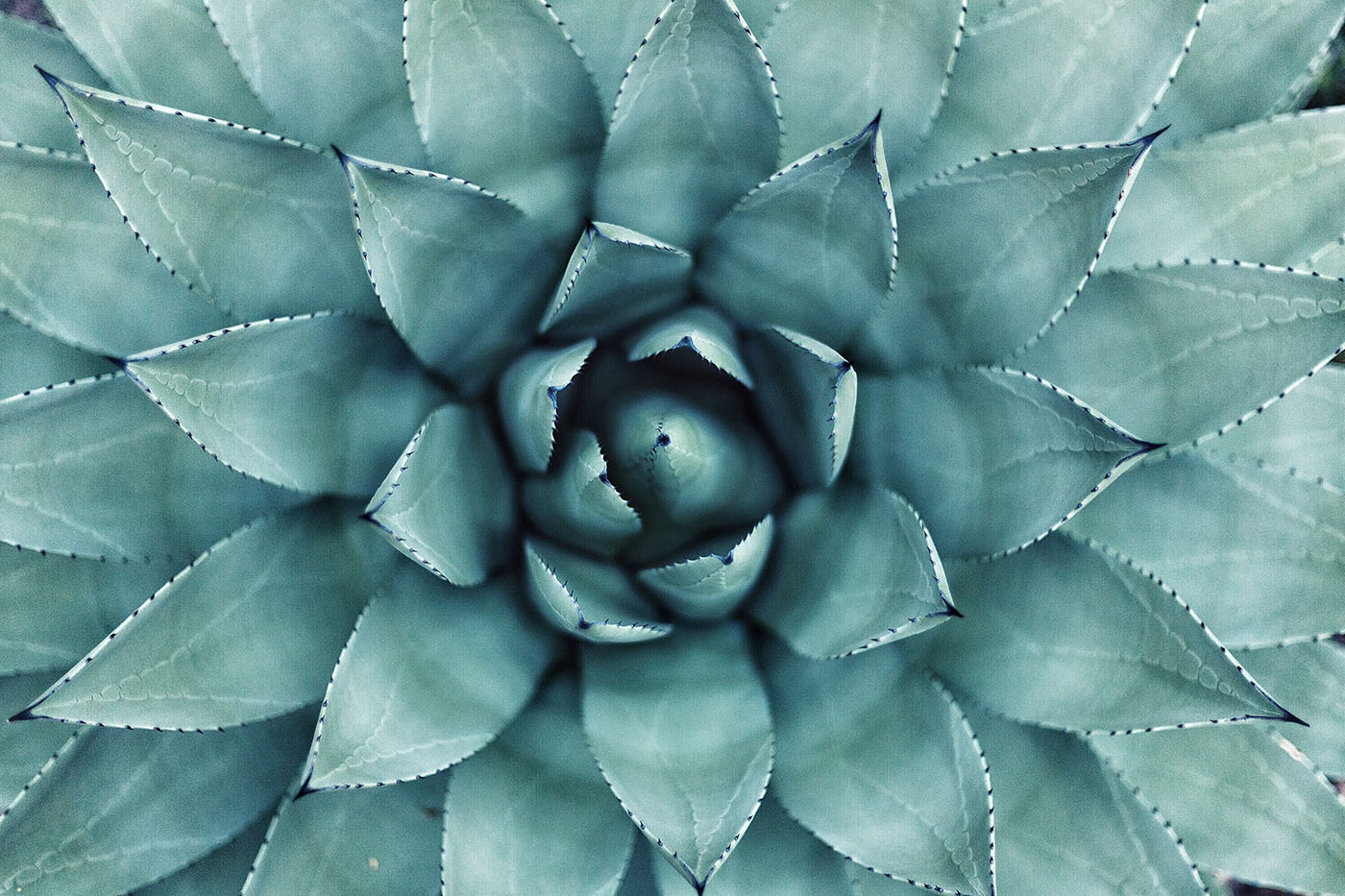 Inspirational Quotes & Sayings for Designers